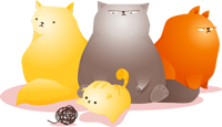 cat