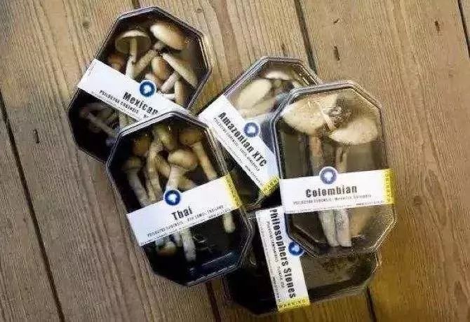 新型毒品